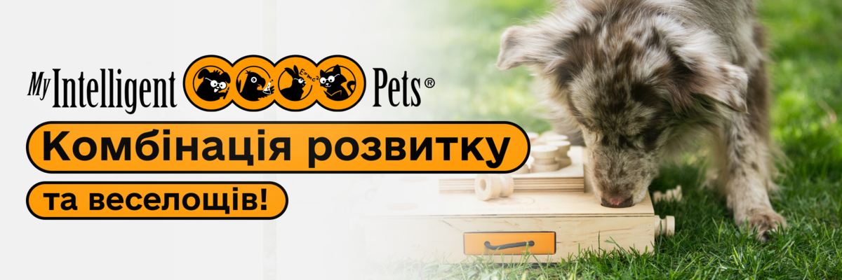 My Intelligent Pets: Комбінація розвитку та веселощів! фото