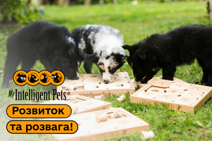 My Intelligent Pets: Комбінація розвитку та веселощів! фото