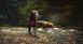 Легка шлейка для собак Ruffwear Flagline&trade; XS 43-56 см Малиновий 30742 фото 16