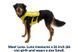 Жилет-шлея для бігу Ruffwear Trail Runner&trade; XS Зелений 30992 фото 8