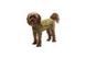 Флісова куртка для собак Ruffwear Climate Changer&trade; Fleece Jacket L Оливковий 47117 фото 3