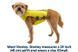 Жилет-шлея для бігу Ruffwear Trail Runner&trade; XS Зелений 30992 фото 9