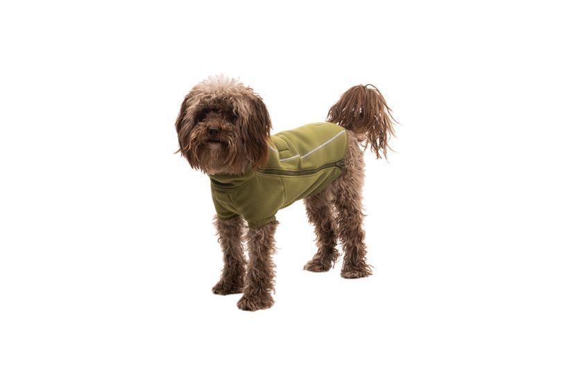 Флісова куртка для собак Ruffwear Climate Changer&trade; Fleece Jacket L Оливковий 47117 фото