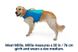 Спасательный жилет для собак Ruffwear Float Coat™ XXS Синий 30951 фото 7