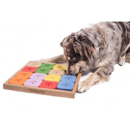 Интерактивная игрушка для собак My Intelligent Pets Dog' SUDOKU® Medium Geni Color 31375 фото