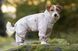 Комбінезон для собак Non-stop dogwear Trail quest fleece overall Бежевий 40 41150 фото 3