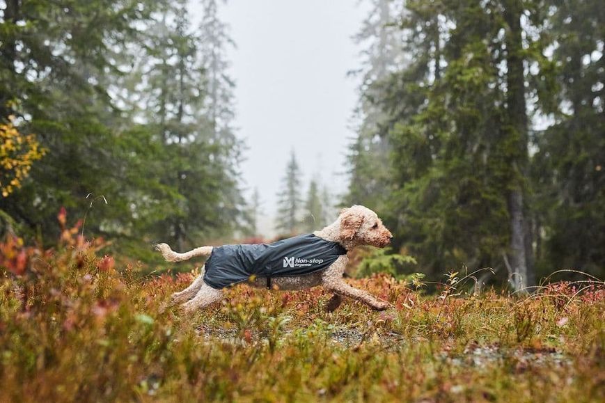 Куртка для собак Trail light Non-stop dogwear Серый 33 40885 фото