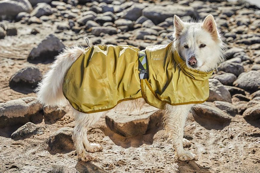 Рефлекторний дощовик для собак Hurtta Mudventure Reflective Coat 30 Жовтий 31403 фото