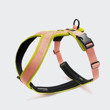 Y-подібна шлейка для собак Cloud7 Y-1 Harness AKTIV Персиковий XS 46254 фото