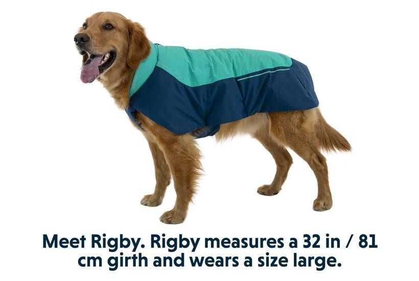 Водонепроницаемая куртка для собак Ruffwear Vert&trade; S Бирюзовый 30553 фото