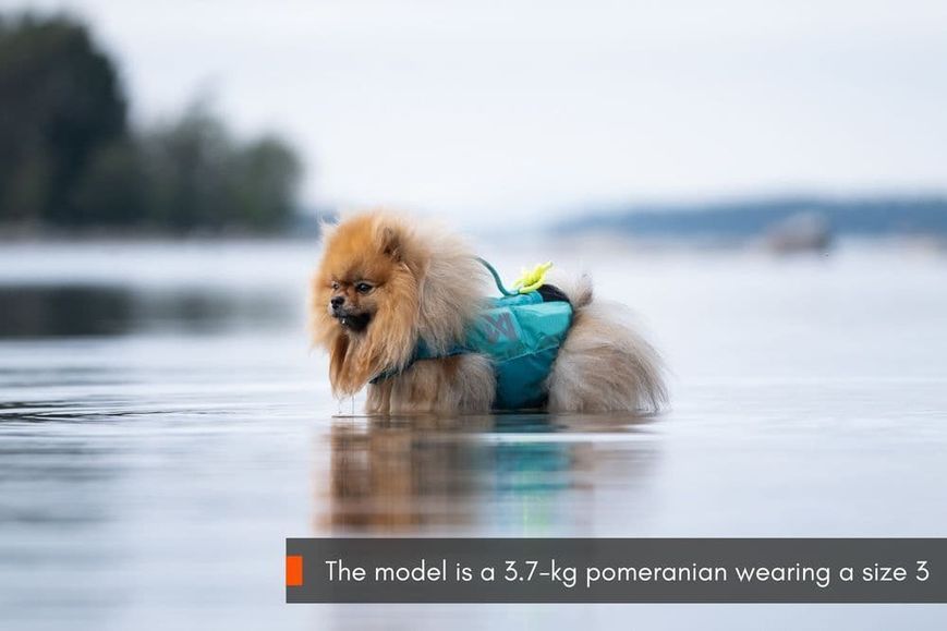 Рятувальний жилет для собак Protector life jacket Non-stop dogwear Бірюзовий 5 40509 фото