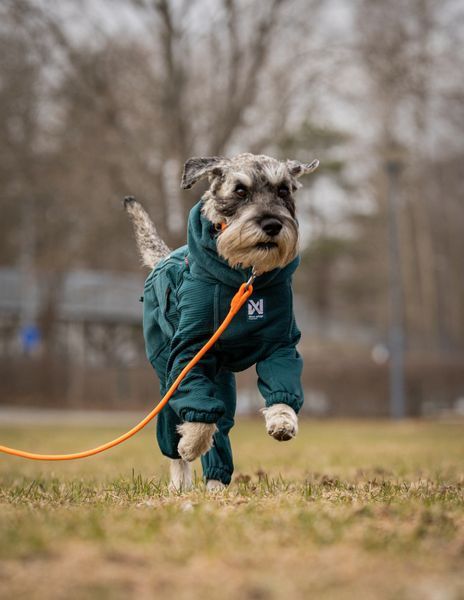 Комбінезон для собак Non-stop dogwear Trail quest fleece overall Зелений 55 48659 фото