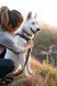 Повсякденний повідець для собак Ruffwear Front Range&trade; Сірий 30904 фото 7
