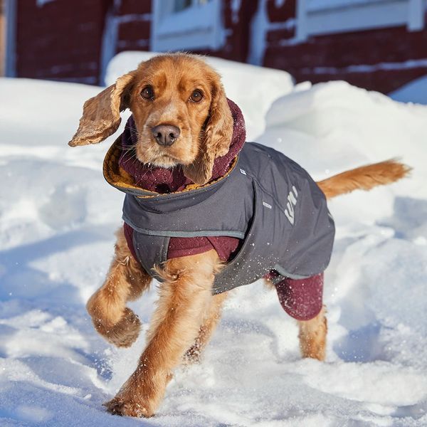 Куртка для собак Hurtta Walk All-Season Jacket Сірий 55 49153 фото
