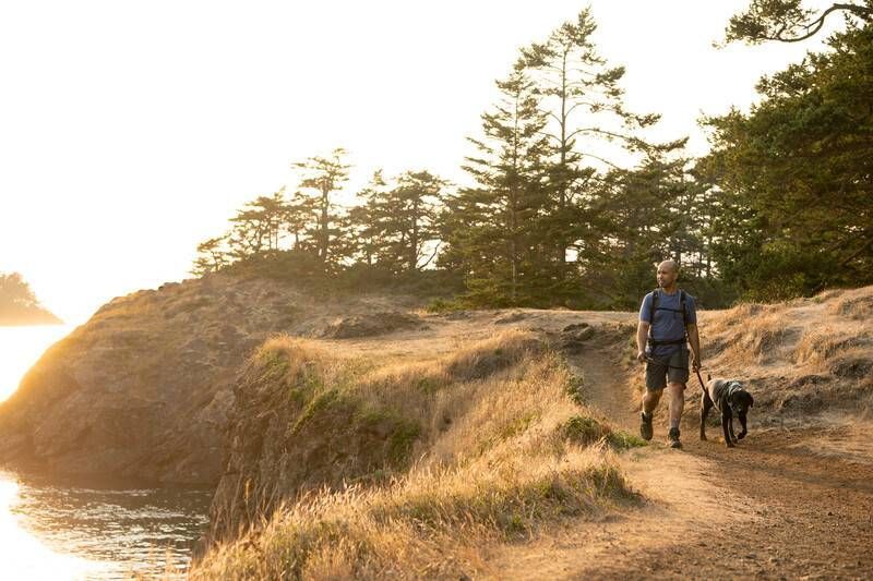 Повсякденний повідець для собак Ruffwear Front Range&trade; Сірий 30904 фото