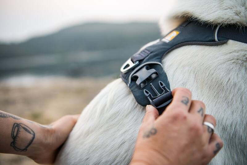 Повсякденний повідець для собак Ruffwear Front Range&trade; Сірий 30904 фото