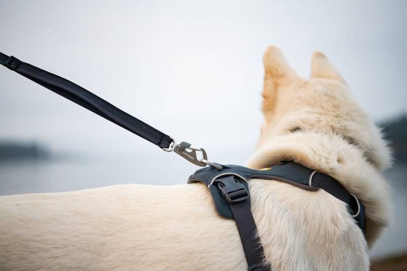 Повсякденний повідець для собак Ruffwear Front Range&trade; Сірий 30904 фото