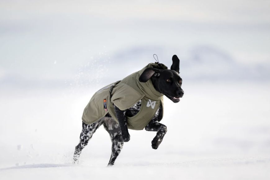 Зимняя куртка для собак Glacier wool jacket 3.0 Non-stop dogwear Зеленый 40 41099 фото