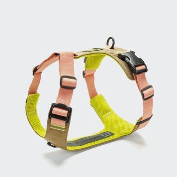 Y-подібна шлейка для собак Cloud7 Y-2 Harness AKTIV Персиковий L/XL 46256 фото