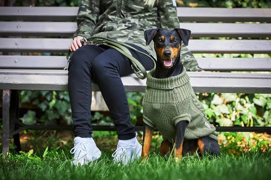 Вязаный свитер для собаки Wolters Cable Knit с узором коса 35 см Оливковый 28420 фото