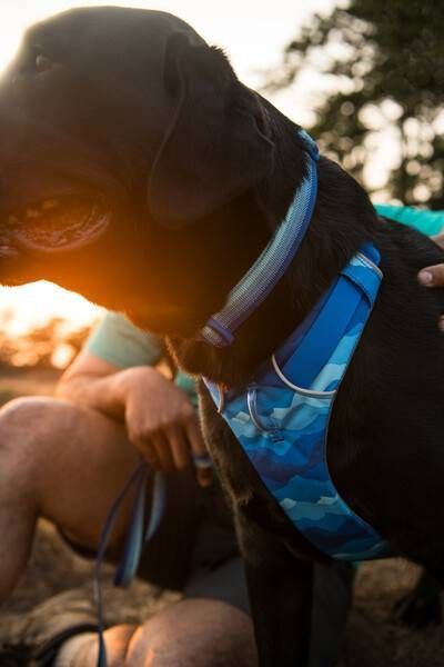 Повсякденний повідець для собак Ruffwear Front Range&trade; Блакитно-синій 30906 фото