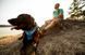 Повсякденний повідець для собак Ruffwear Front Range&trade; Блакитно-синій 30906 фото 5