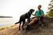 Повсякденний повідець для собак Ruffwear Front Range&trade; Блакитно-синій 30906 фото 8