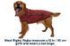 Свитер для собак Ruffwear Hemp Hound&trade; XL Красный 30406 фото 7
