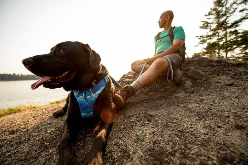 Повсякденний повідець для собак Ruffwear Front Range&trade; Блакитно-синій 30906 фото