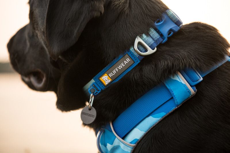 Повседневный поводок для собак Ruffwear Front Range™ Голубо-синий 30906 фото