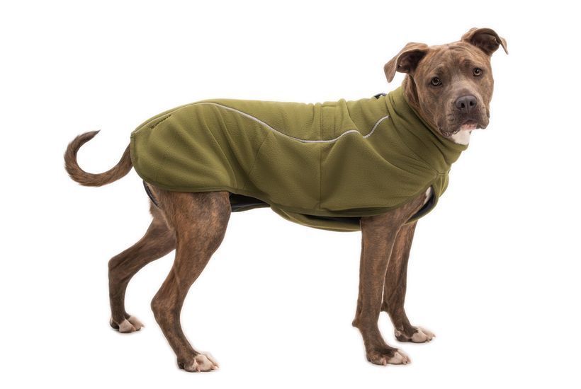 Флисовый жилет для собак Ruffwear Climate Changer&trade; Fleece Vest XXS Оливковый 47131 фото