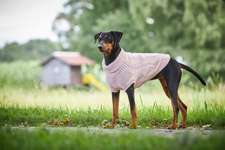 В'язаний светр для собаки Wolters Cable Knit з візерунком коси 35 см Рожевий 29587 фото