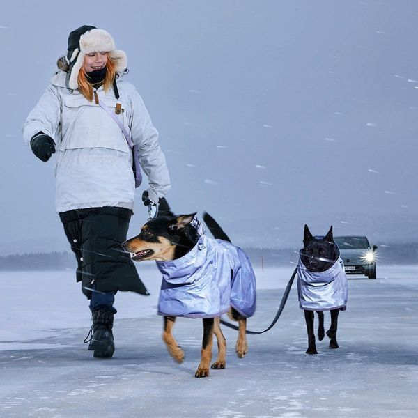 Рефлективный дождевик для собак Hurtta Mudventure Reflective Coat 30 Лавандовый 49106 фото