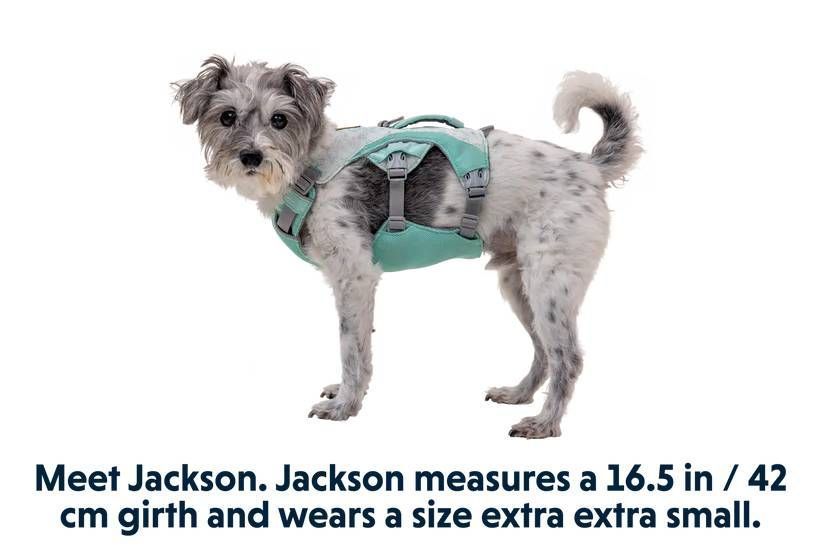 Охолоджувальна шлейка для собак Ruffwear Swamp Cooler&trade; XXS 33-43 см Зелений 30857 фото