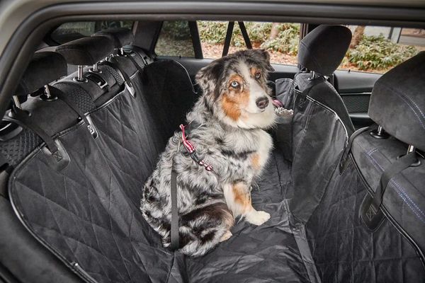 Чехол автогамак для собак на заднее сидение Wolters Car Pet Backseat Cover 30172 фото