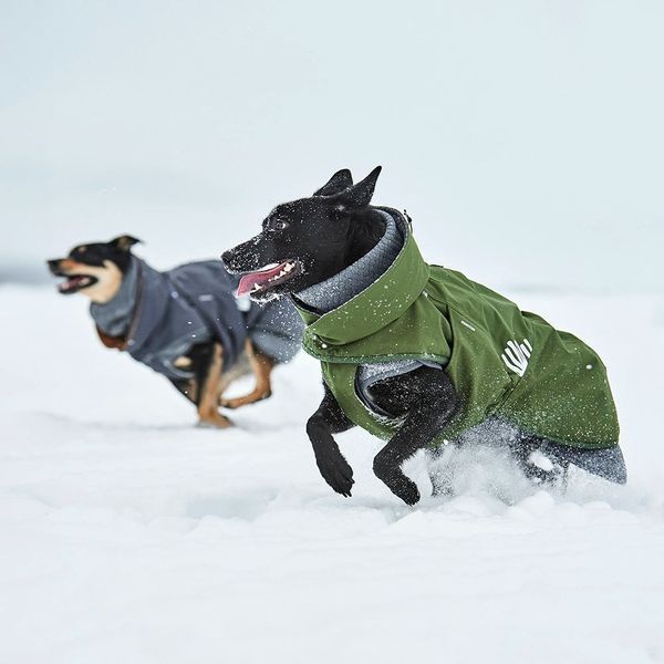 Куртка для собак Hurtta Walk All-Season Jacket Темно-зеленый 30 49157 фото