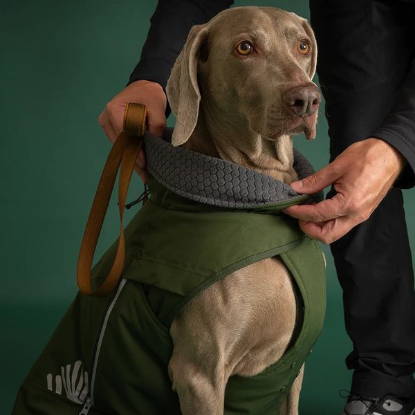 Куртка для собак Hurtta Walk All-Season Jacket Темно-зеленый 30 49157 фото
