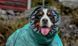 Дождевик для собак Hurtta Monsoon coat II ECO Бирюзовый 45XS 33341 фото 2