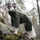 Комбинезон для грейхаундов и других борзых пород собак Cloud7 Cornwall Greyhound Оливковый Тедди 10 45959 фото 2