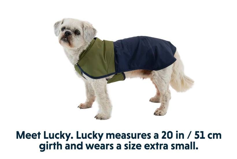 Дощовик для собак Ruffwear Sun Shower&trade; XL Синьо-оливковий 30508 фото