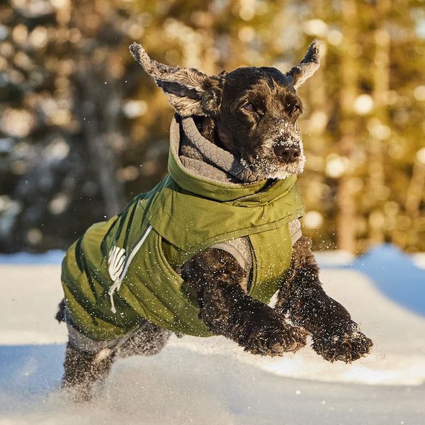 Куртка для собак Hurtta Walk All-Season Jacket Темно-зеленый 35 49158 фото