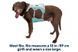Охлаждающая шлейка для собак Ruffwear Swamp Cooler&trade; S 56-69 см Зеленый 30859 фото 11