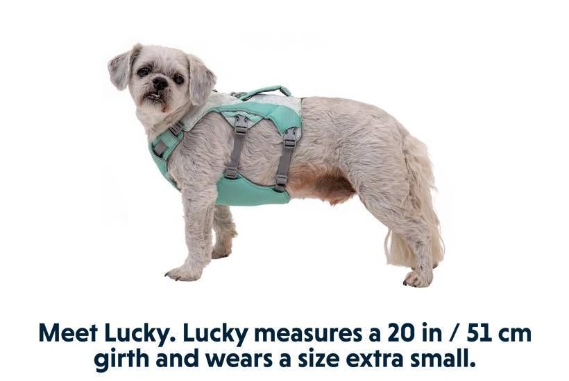 Охлаждающая шлейка для собак Ruffwear Swamp Cooler&trade; S 56-69 см Зеленый 30859 фото