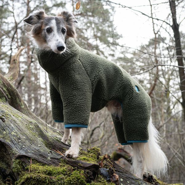 Комбинезон для грейхаундов и других борзых пород собак Cloud7 Cornwall Greyhound Оливковый Тедди 5 45961 фото