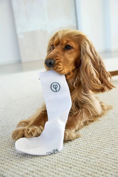 Шкарпетки для власників собак Palopa Tennis Socks Logo Помаранчевий/Блакитний/Сірий 3 пари 35-40 45555 фото
