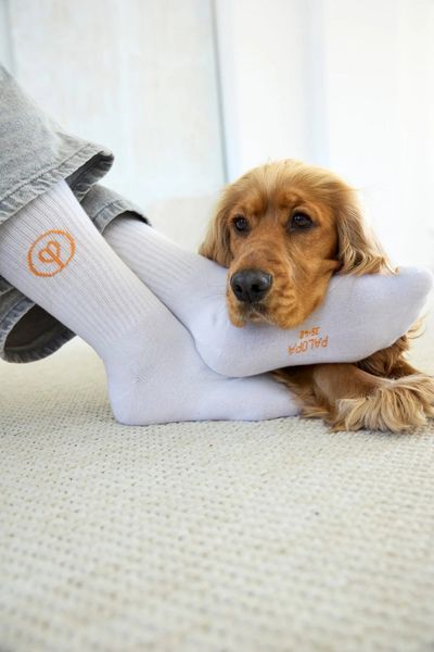 Шкарпетки для власників собак Palopa Tennis Socks Logo Помаранчевий/Блакитний/Сірий 3 пари 35-40 45555 фото