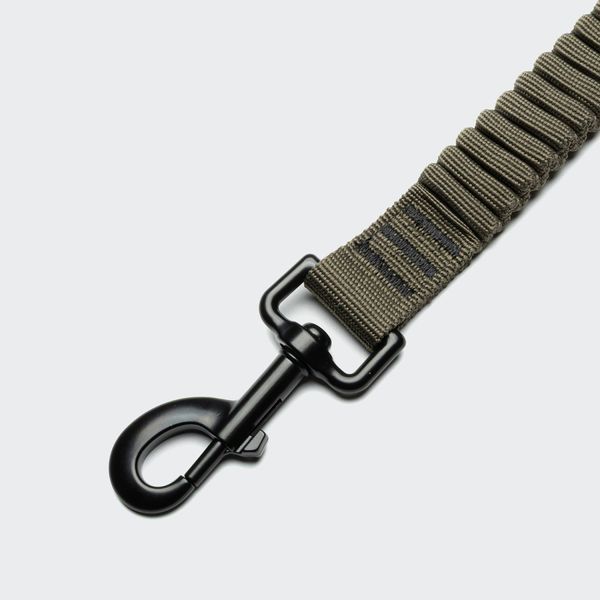 Повідець з амортизацією для собак Cloud7 L-2-Jogging-Leash AKTIV Оливковий 250 см / 1,5 см S 46244 фото