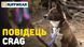 Рефлекторний повідець для собак Ruffwear Crag&trade; Оранжево-синій 30893 фото 8
