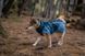 Тепла зимова куртка для собак Glacier jacket 3.0 Non-stop dogwear Бірюзовий 60 41312 фото 2