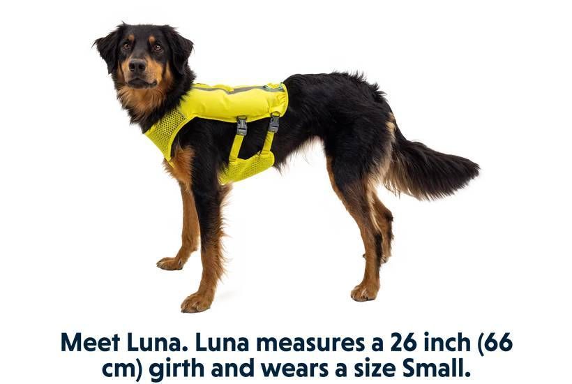 Жилет-шлея для бігу Ruffwear Trail Runner&trade; S Зелений 30993 фото